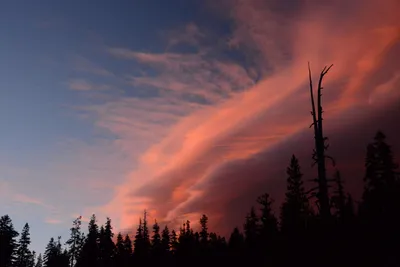 DSC_0100 (Large).JPG